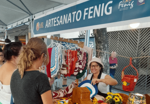 Artesanato Fenig 2024