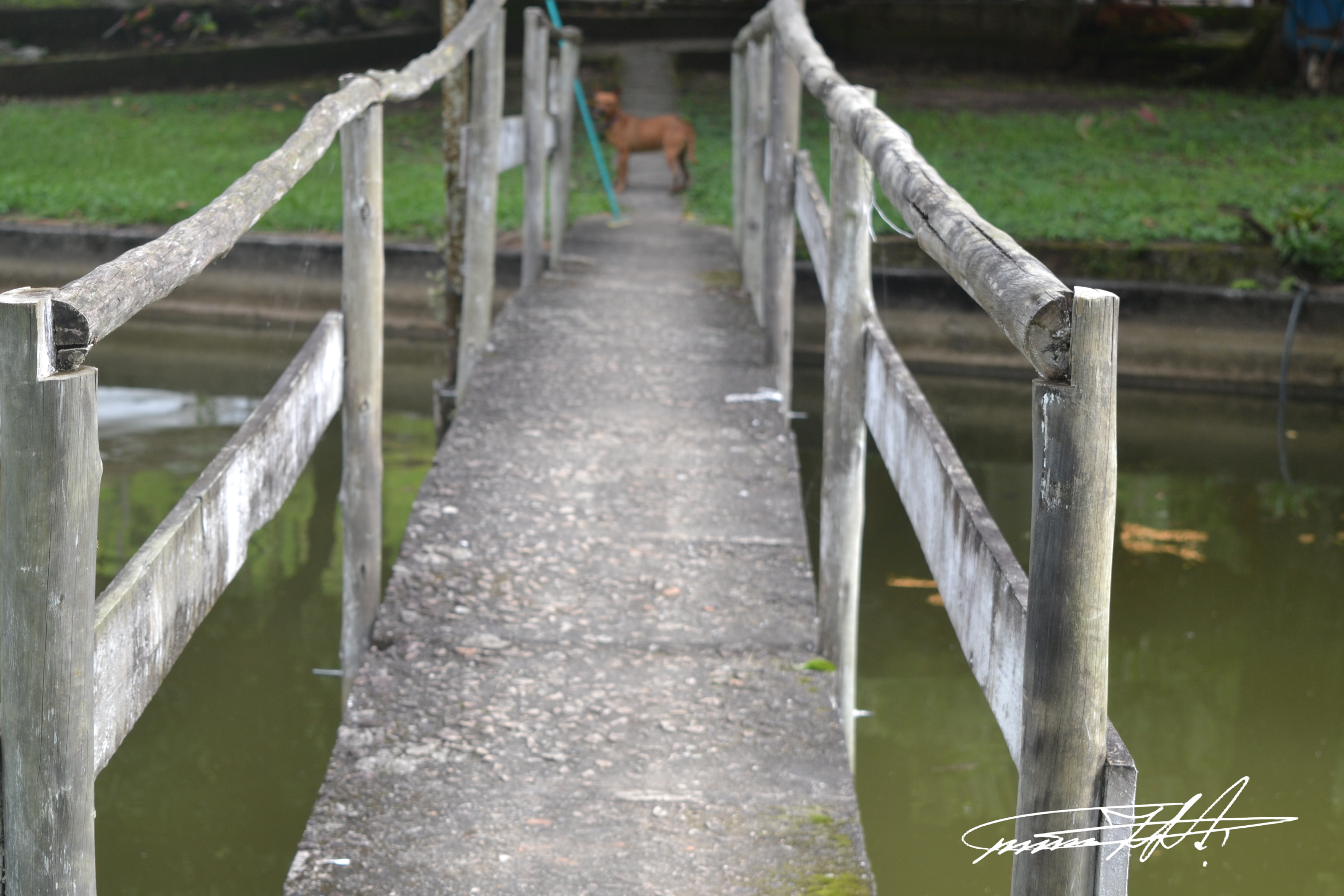 Sentinela da passagem