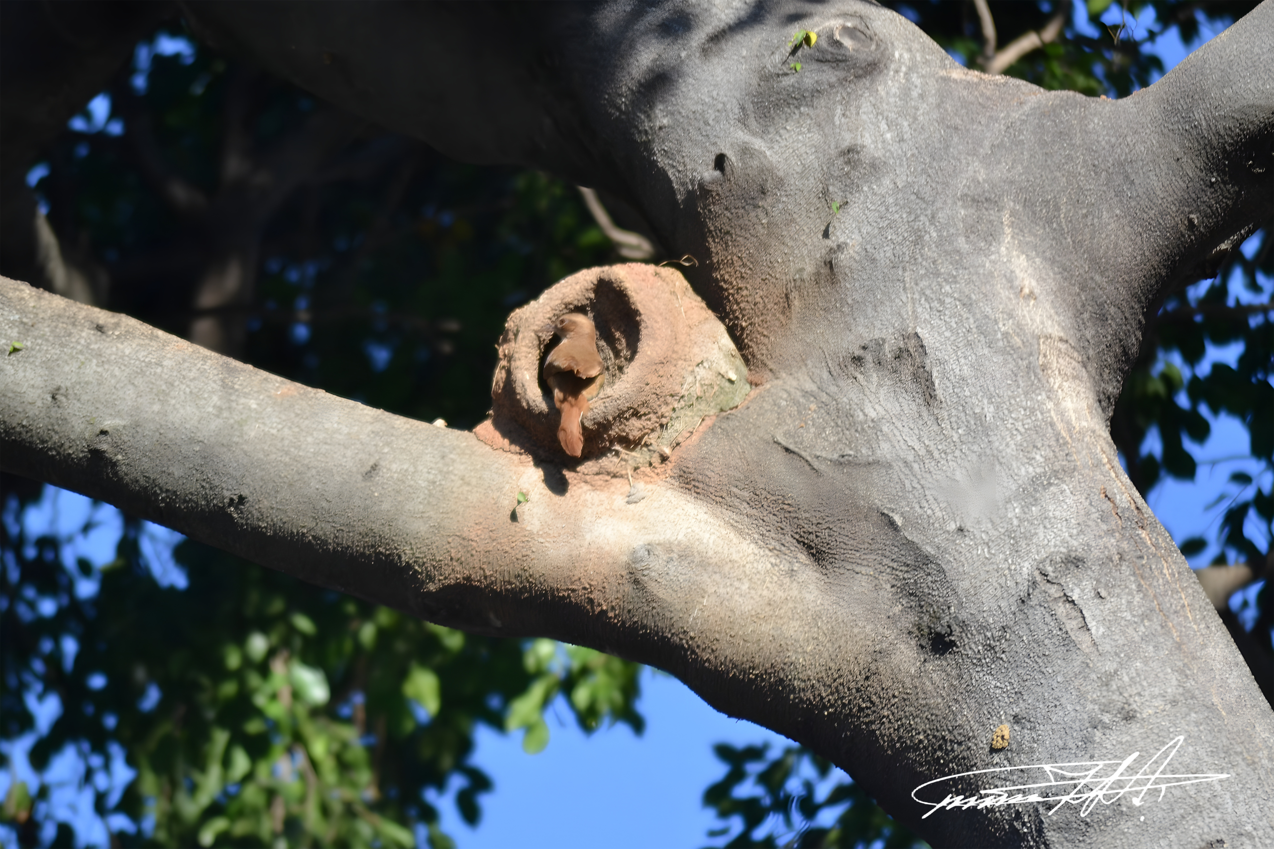 Do barro se faz a vida