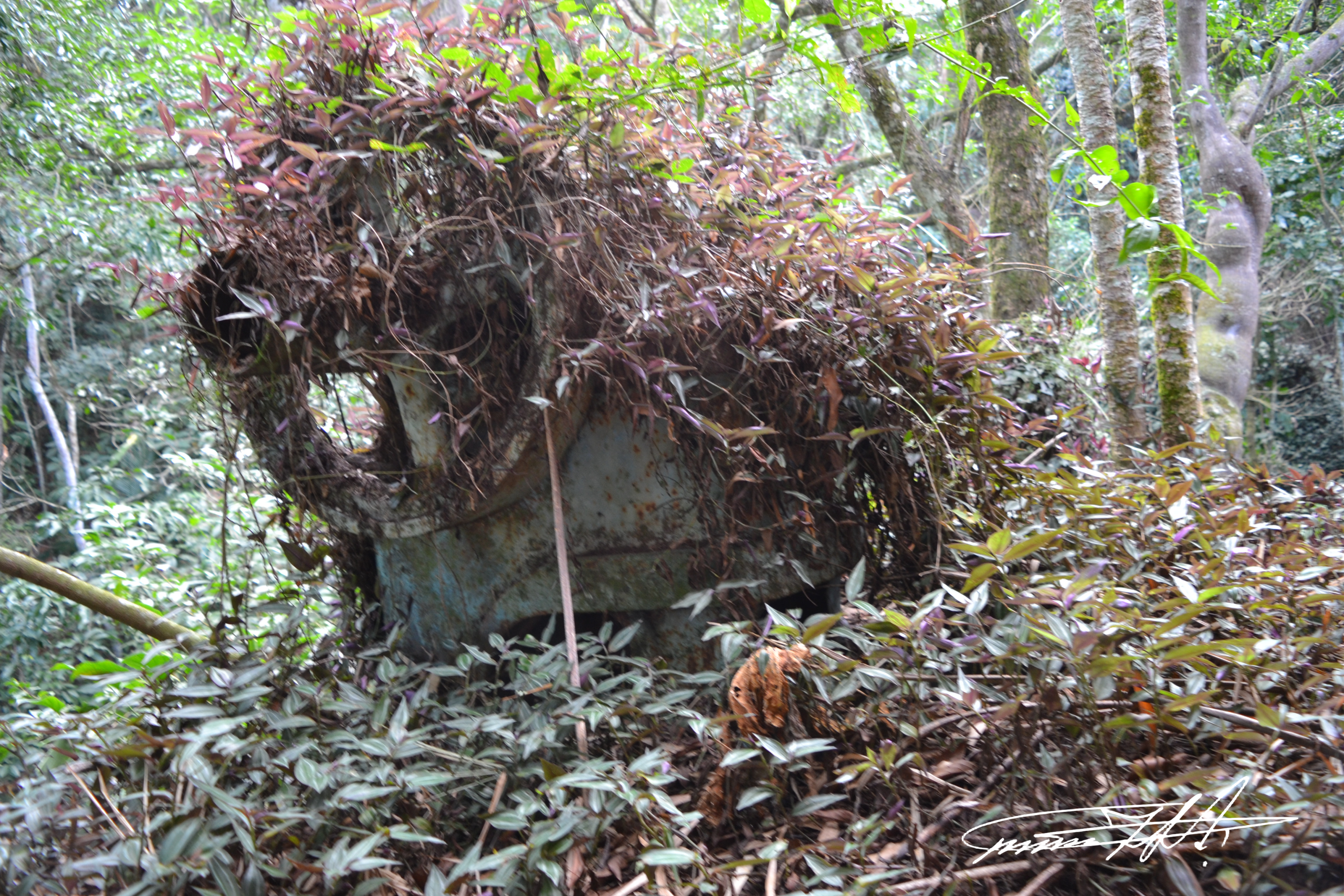 Terra que guarda histórias